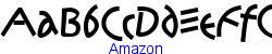Amazon   13K (2002-12-27)