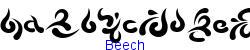 Beech   17K (2003-03-02)