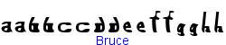 Bruce    5K (2002-12-27)