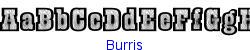 Burris  366K (2003-03-02)