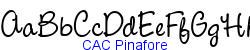 CAC Pinafore   28K (2005-02-09)