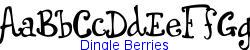 Dingle Berries   20K (2002-12-27)
