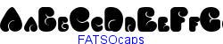 FATSOcaps   11K (2002-12-27)