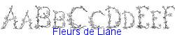Fleurs de Liane  103K (2003-01-22)