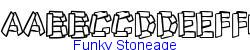 Funky Stoneage   21K (2002-12-27)