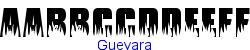 Guevara   13K (2003-03-02)