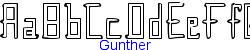 Gunther   21K (2002-12-27)