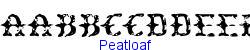 Peatloaf   22K (2002-12-27)