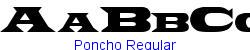 Poncho Regular   15K (2002-12-27)