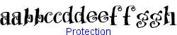 Protection   10K (2002-12-27)