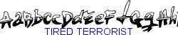 Tired Terrorist   43K (2003-01-22)