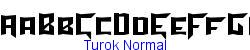 Turok Normal - Bold weight   12K (2004-10-05)