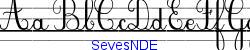 SeyesNDE  501K (2005-05-09)